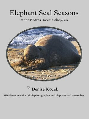 cover image of Elephant Seal Seasons at the Piedras Blancas Colony, CA